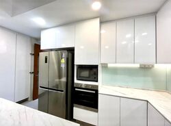 Four Seasons Park (D10), Condominium #479926561